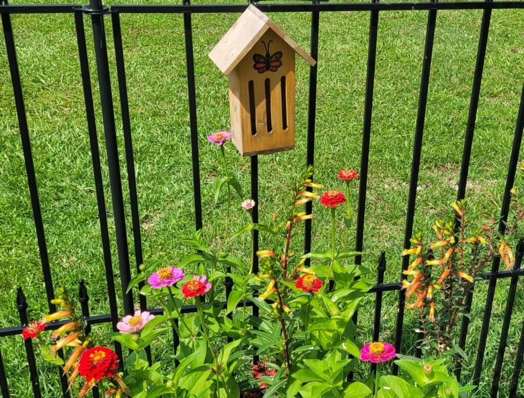 Butterfly House above a garden of flowers