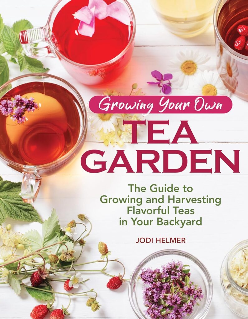 Growing your own tea garden